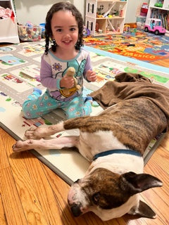 Your support helps save homeless pets