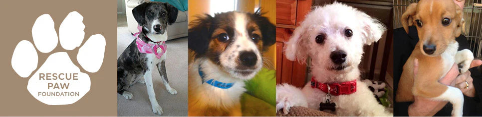 Support Rescue Paw Foundation and save precious lives.
– Our Cause for Paws - ourcauseforpaws.org