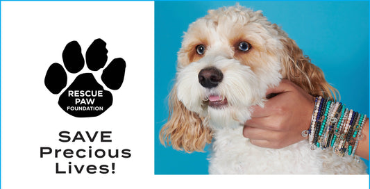 Pet Adoption Tips: Ensuring a Smooth Transition for You and Your New Pet