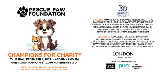 Champions for Charity 2025