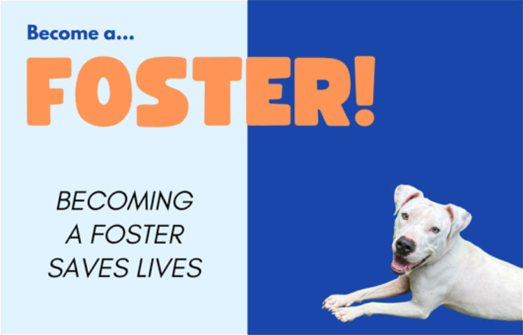 Rescue paw promoting fosters to save lives